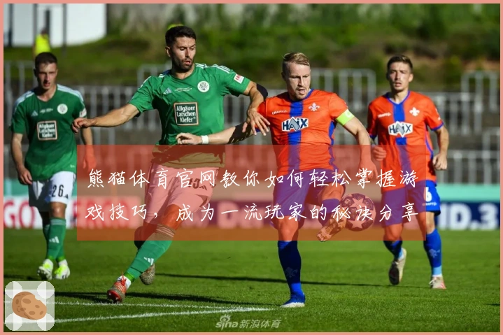 熊猫体育官网教你如何轻松掌握游戏技巧，成为一流玩家的秘诀分享