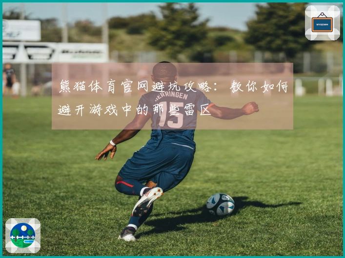 熊猫体育官网避坑攻略：教你如何避开游戏中的那些雷区